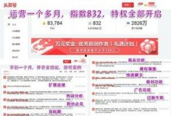 今日菜价爆料新闻视频大全,今日菜价爆料视频大盘点