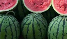 新乐吃瓜视频免费观看大全,一网打尽热门瓜料，畅享娱乐盛宴