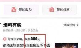 今日头条爆料官网入口在线观看,独家揭秘，在线观看最新爆料内容