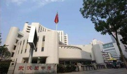武汉图书馆爆料视频曝光