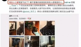 被前任爆料视频报警有用吗,法律途径能否助你维权？