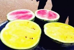 最新吃瓜爆料四川,揭秘明星幕后故事