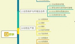 河马公主爆料视频大全集,揭秘幕后真相与精彩瞬间