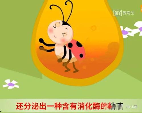 娱乐吃瓜酱睡前小故事,一场穿越时空的童话之旅